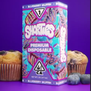 Shorties Blueberry Muffin 2G Disposable